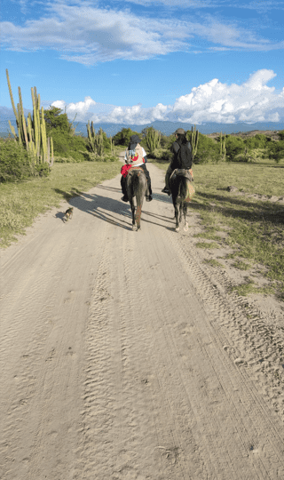 Tatacoa al Atardecer: Observación de Aves y Puesta de Sol